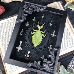 Work by Beetles Bones and Butterflies 