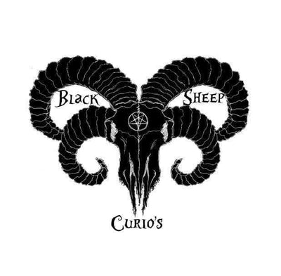 Black Sheep Curios