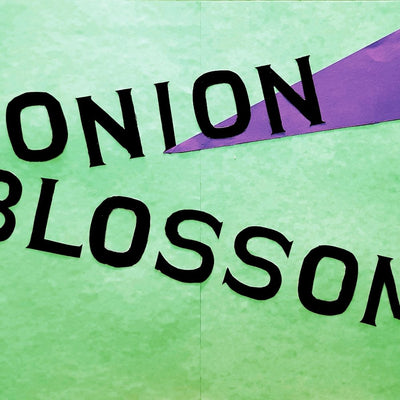 Onion Blossom