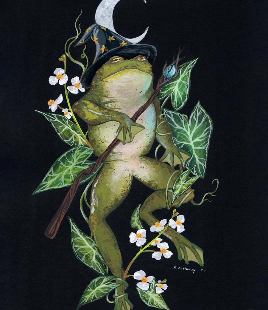 Rachel hanley illustration