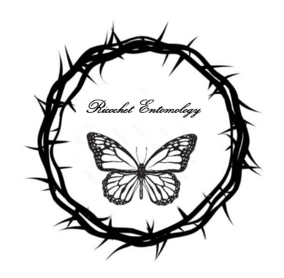 Ricochet Entomology